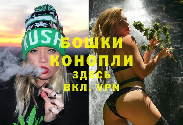 мдпв Верхний Тагил