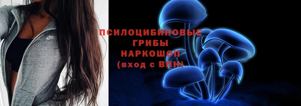 прущие грибы Верхнеуральск