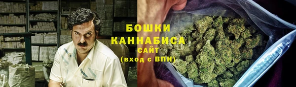 прущие грибы Верхнеуральск