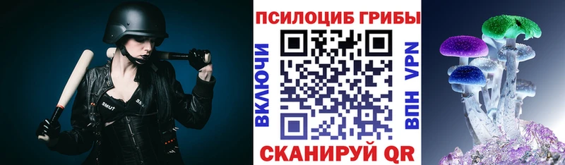 Псилоцибиновые грибы Psilocybe где продают наркотики Шуя